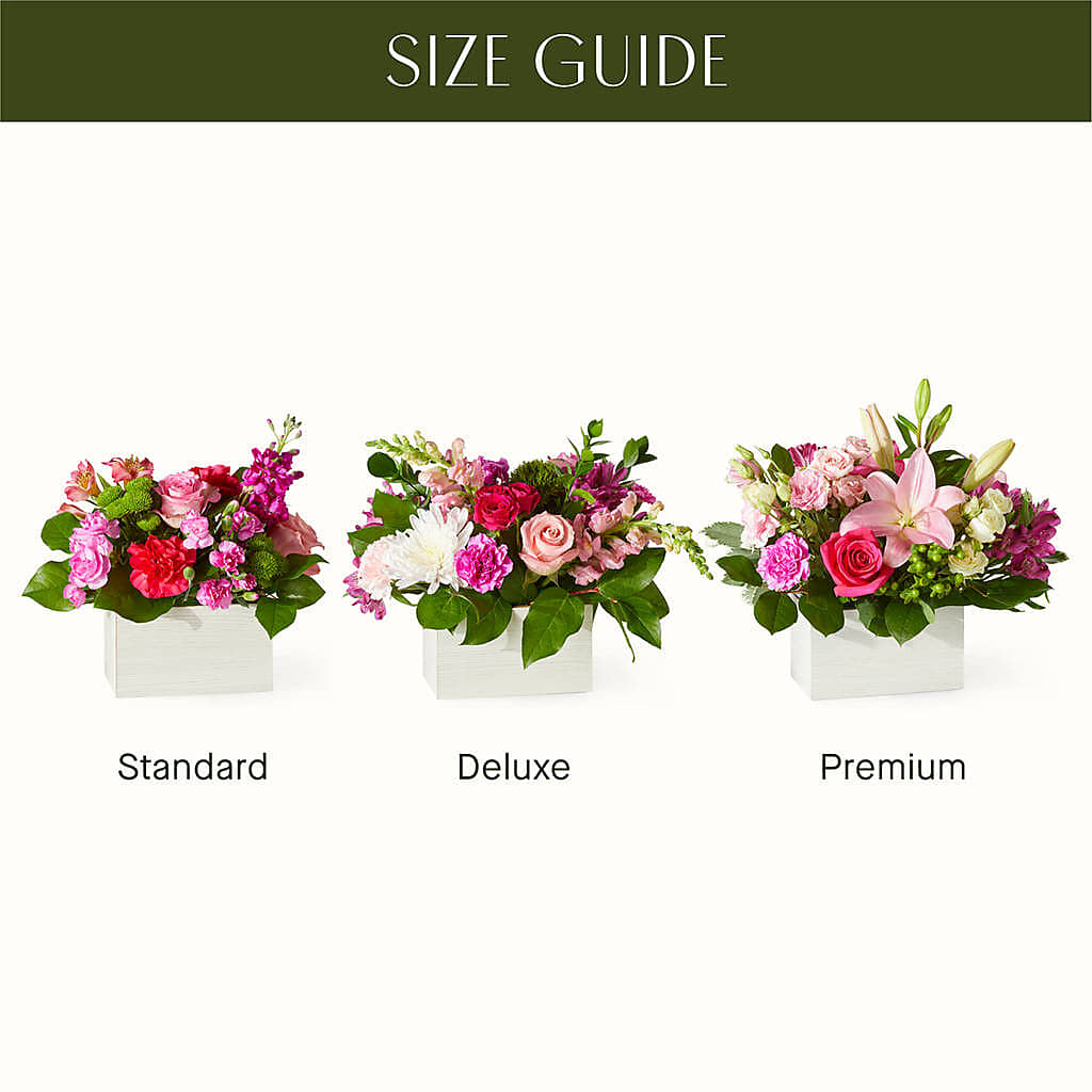 Sweetberry Box – A Florist Original – Schnucks Florist And Gifts #162, Olivette MO