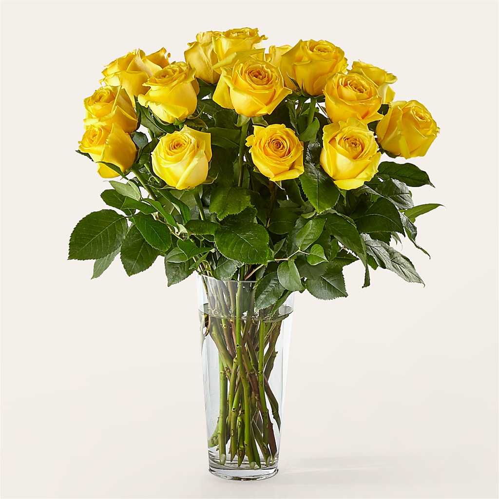 Long Stem Yellow Rose Bouquet – Schnucks Florist And Gifts #162, Olivette MO