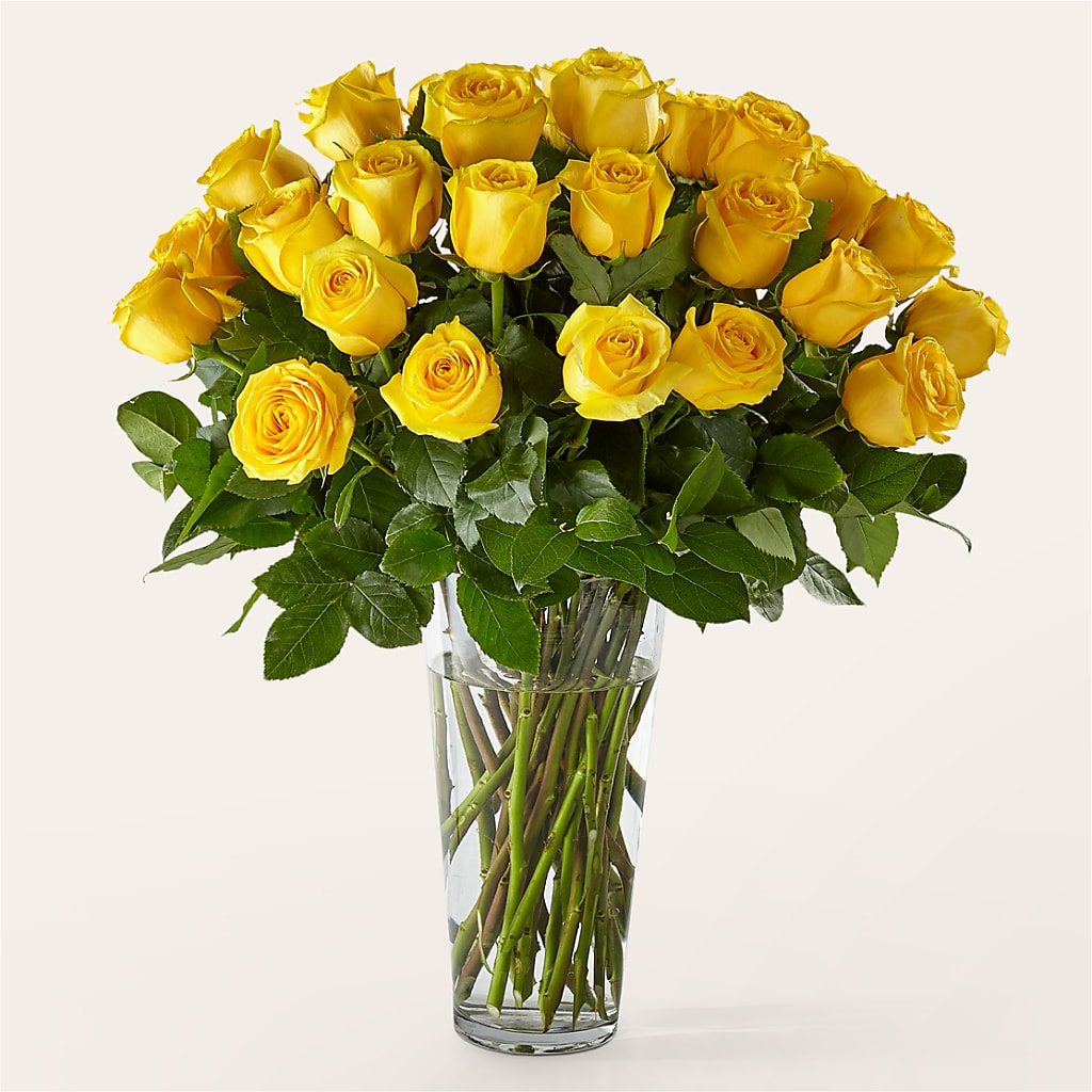 Long Stem Yellow Rose Bouquet – Schnucks Florist And Gifts #162, Olivette MO