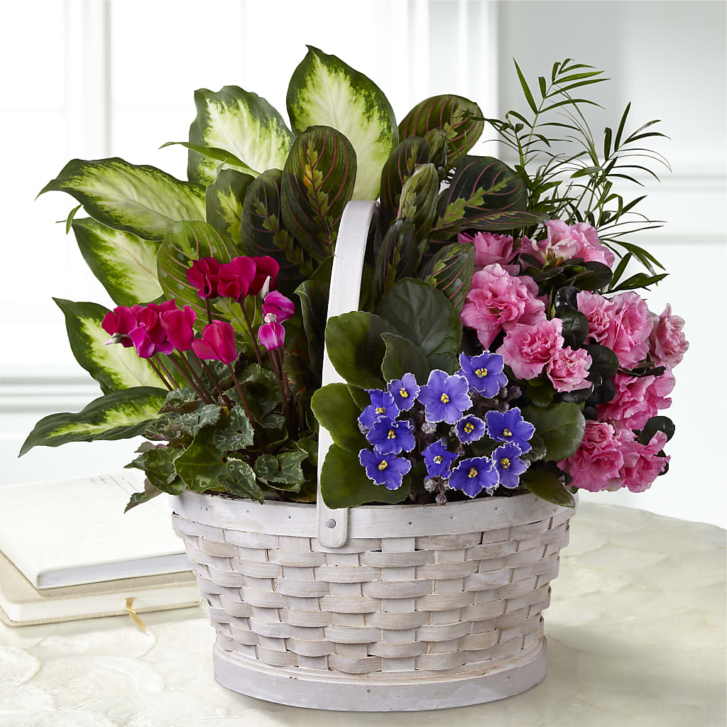 Peaceful Garden Planter – Schnucks Florist And Gifts #162, Olivette MO