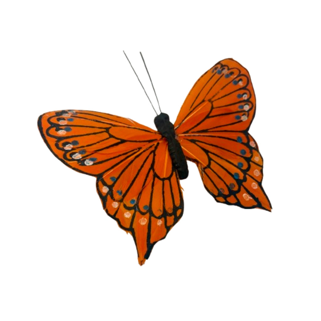 5" Butterfly Pick – Schnucks Florist And Gifts #162, Olivette MO
