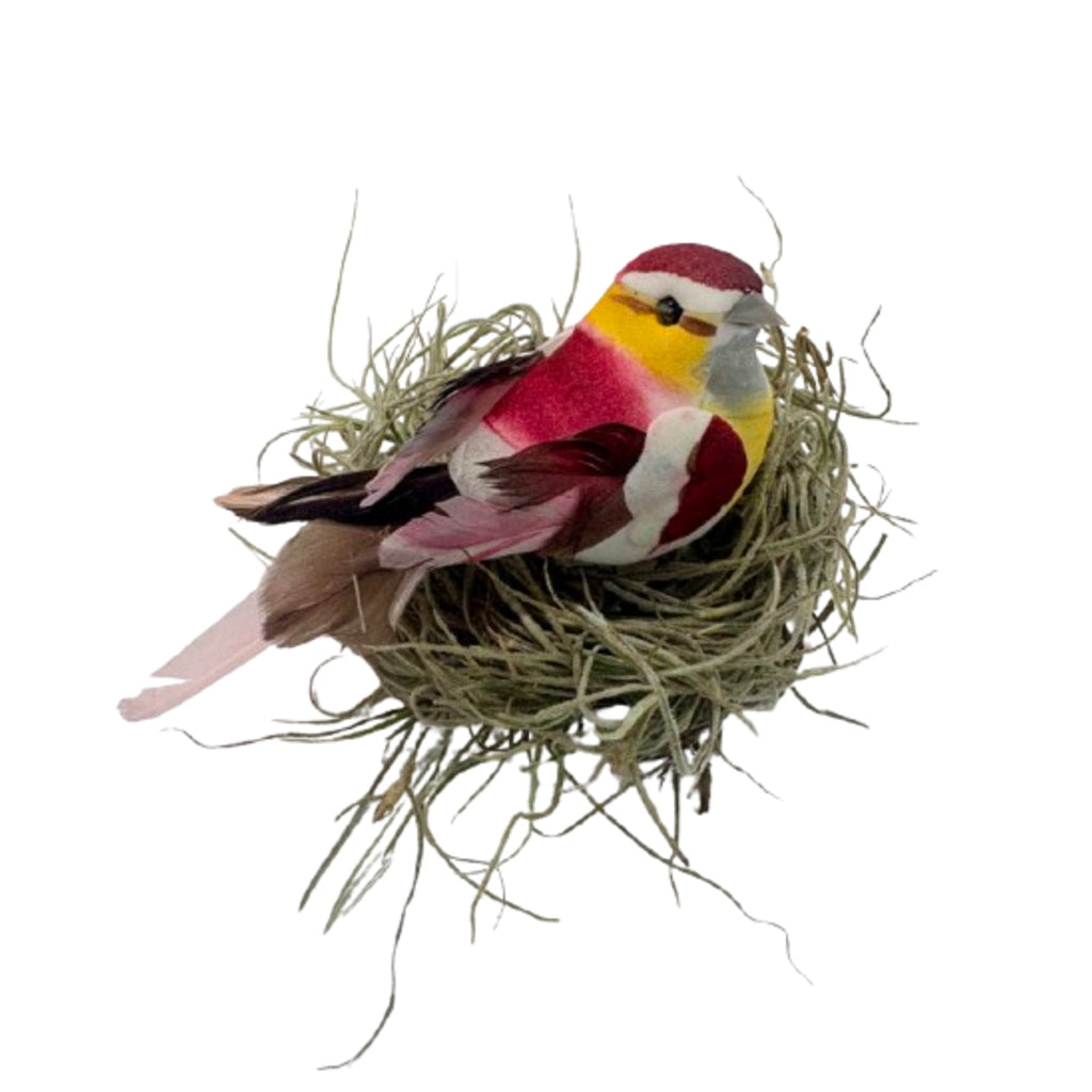 3.5" Bird in Nest – Schnucks Florist And Gifts #162, Olivette MO