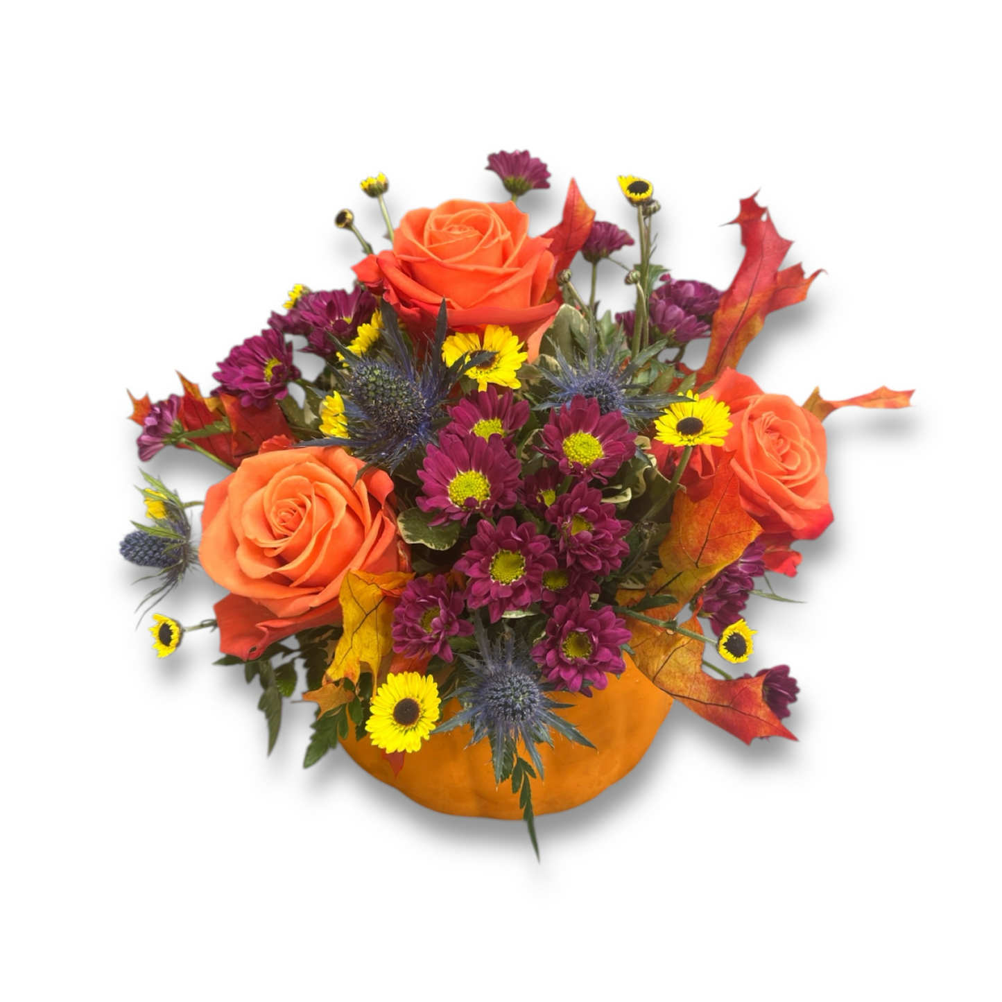 Pumpkin Patch Pop – Schnucks Florist And Gifts #162, Olivette MO