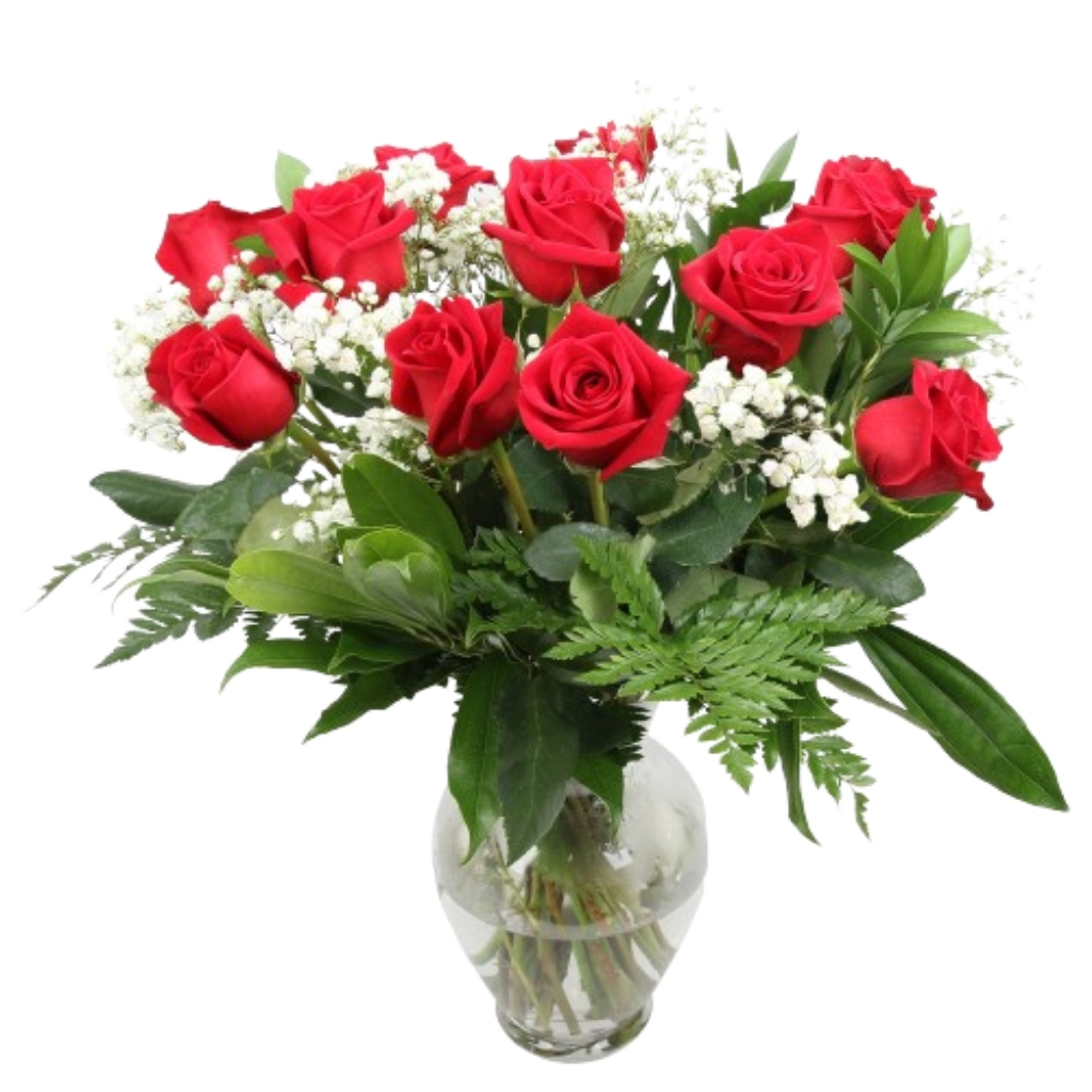 Dozen Roses - Red – Schnucks Florist And Gifts #162, Olivette MO