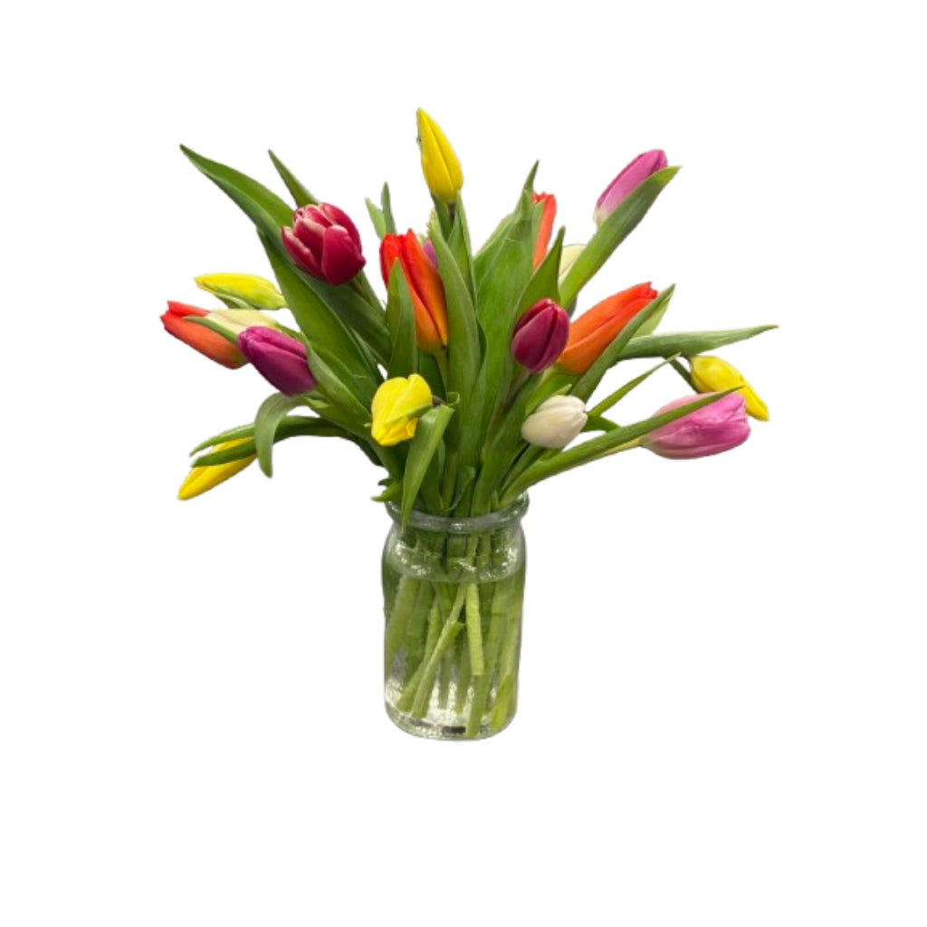 Spring Tulips – Schnucks Florist And Gifts #162, Olivette MO