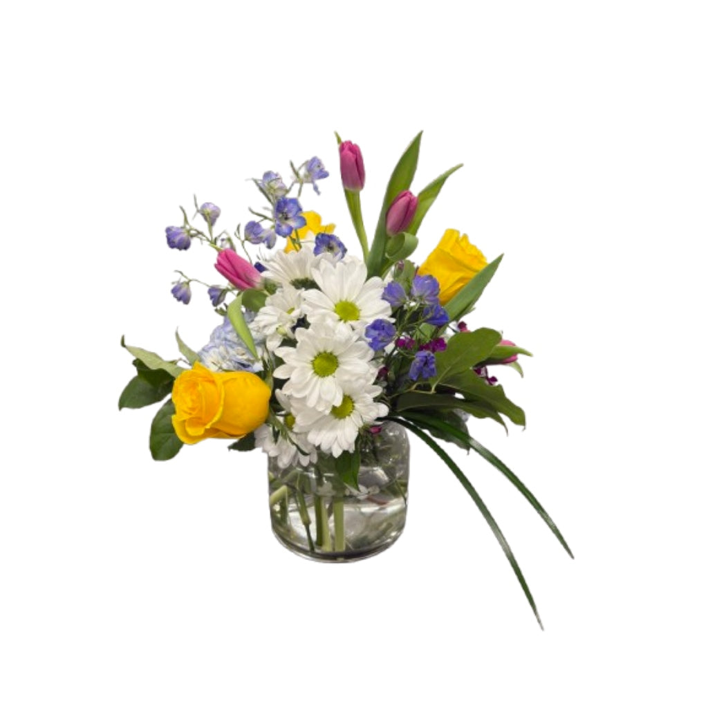 Daisy Dreams – Schnucks Florist And Gifts #162, Olivette MO