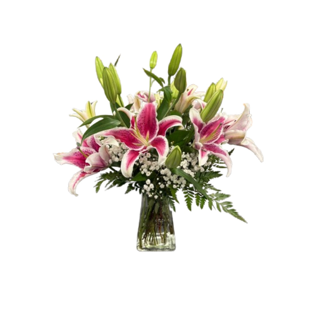 Stardust Symphony – Schnucks Florist And Gifts #162, Olivette MO