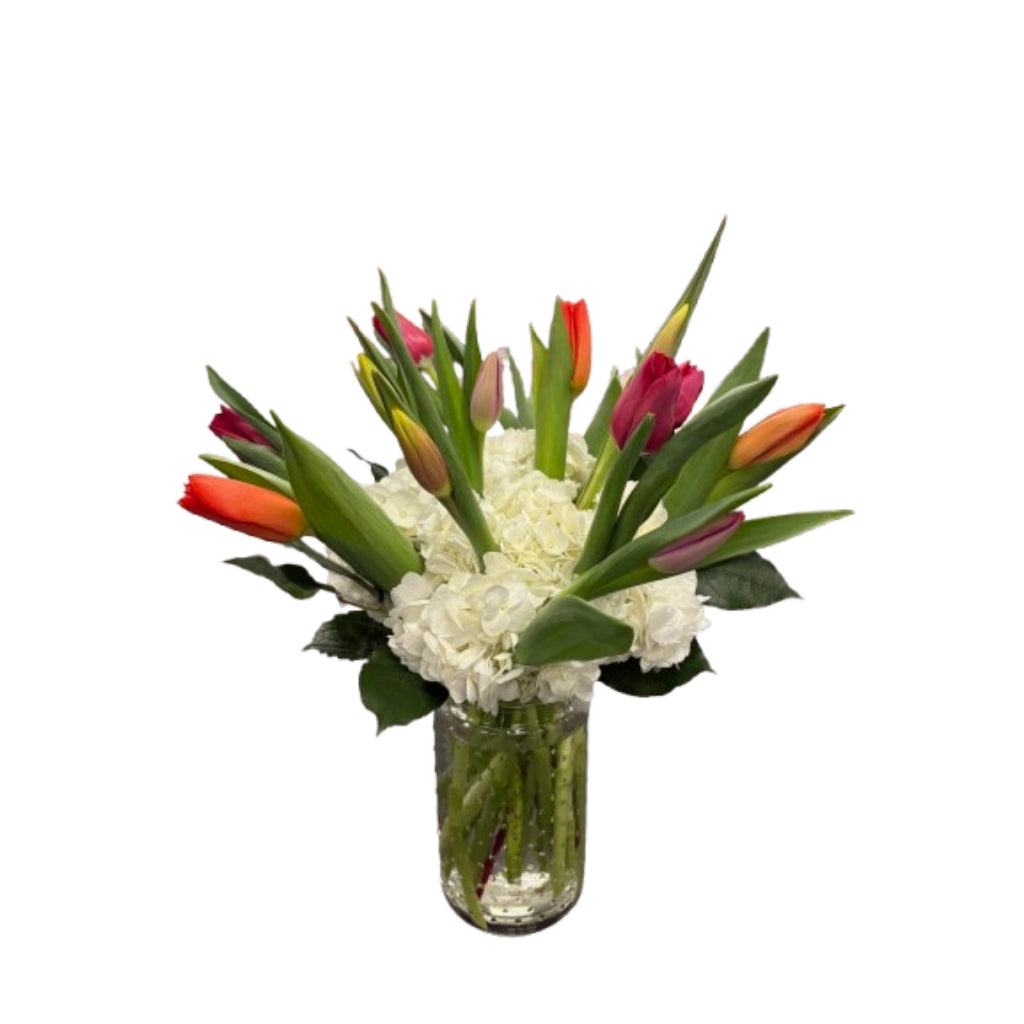 Tulip Twist – Schnucks Florist And Gifts #162, Olivette MO