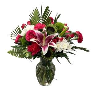 Delicious Dragonfruit – Schnucks Florist And Gifts #162, Olivette MO