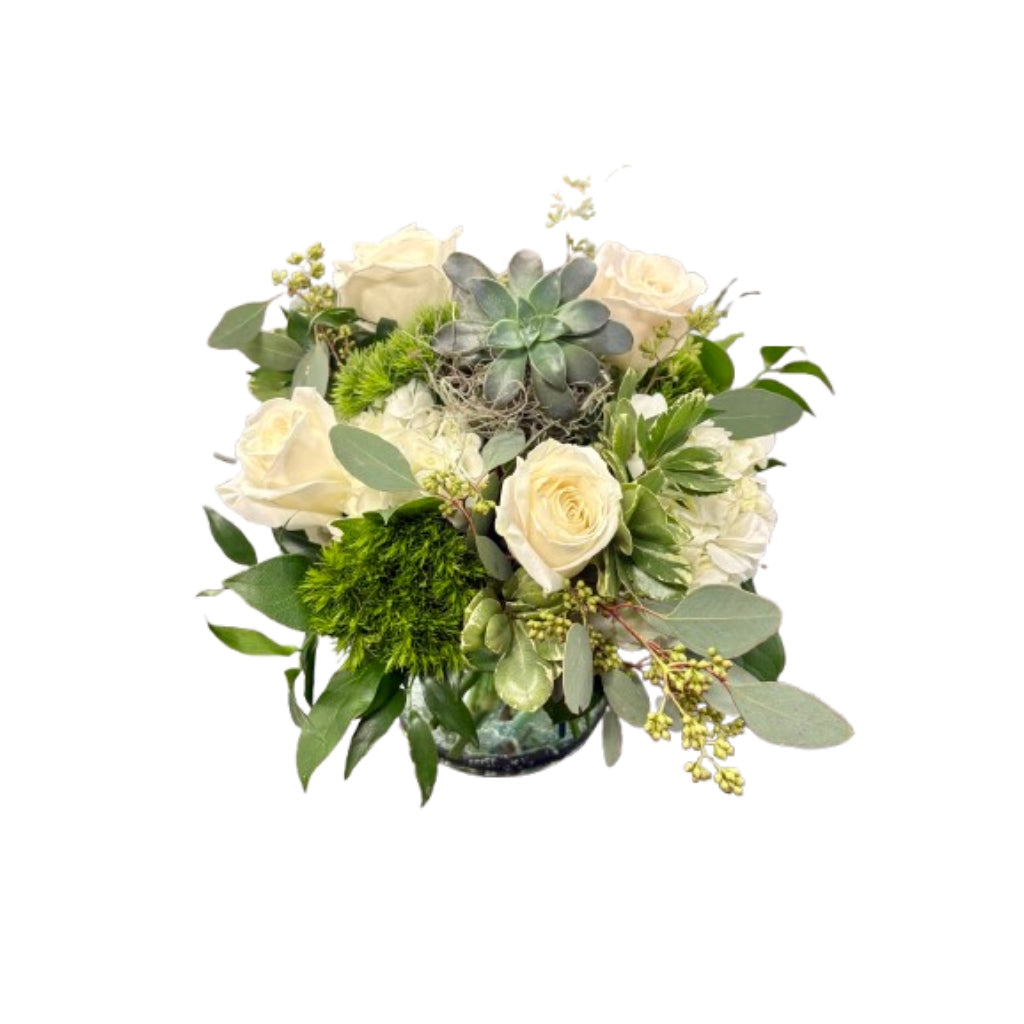 Succulent Bliss – Schnucks Florist And Gifts #162, Olivette MO