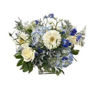 Ocean Front – Schnucks Florist And Gifts #162, Olivette MO