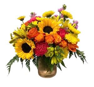 Sunset Promenade – Schnucks Florist And Gifts #162, Olivette MO