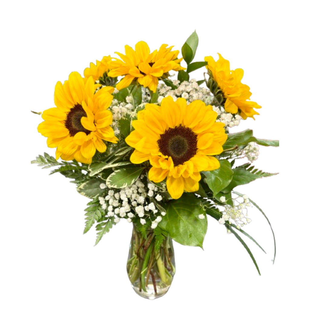 Pocket Full of Sunshine – Schnucks Florist And Gifts #162, Olivette MO