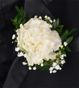 Single Carnation Boutonniere – Schnucks Florist And Gifts #162, Olivette MO