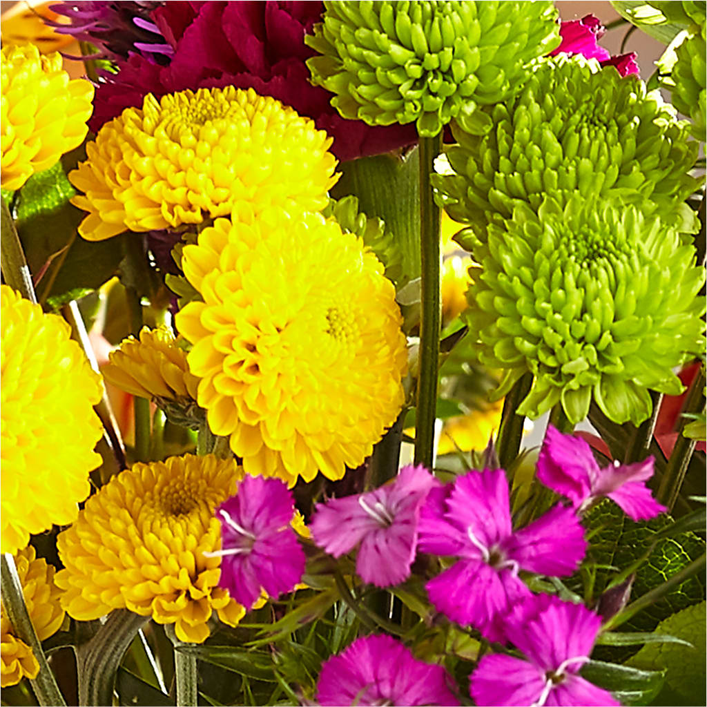Bold & Bright – A Florist Original –  Schnucks Florist And Gifts #162, Olivette MO