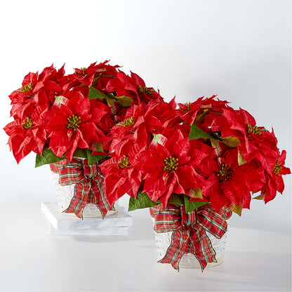 Happiest Holidays Poinsettia Bundle –  Schnucks Florist And Gifts #162, Olivette MO