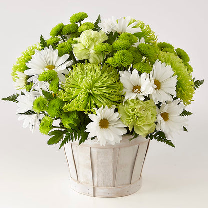 Lucky Charm Basket (Standard) –  Schnucks Florist And Gifts #162, Olivette MO