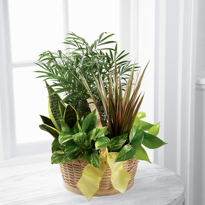 French Garden –  Schnucks Florist And Gifts #162, Olivette MO