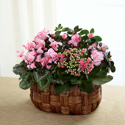 Pink Assortment –  Schnucks Florist And Gifts #162, Olivette MO