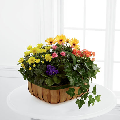 Gentle Blossoms Basket –  Schnucks Florist And Gifts #162, Olivette MO
