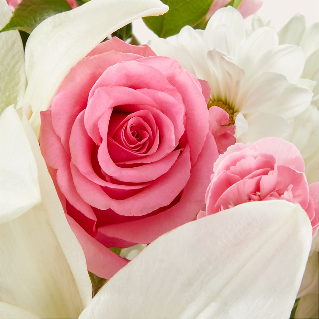 Whispers of Comfort Bouquet –  Schnucks Florist And Gifts #162, Olivette MO