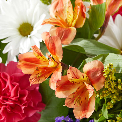 Oopsie Daisy Box Bouquet –  Schnucks Florist And Gifts #162, Olivette MO