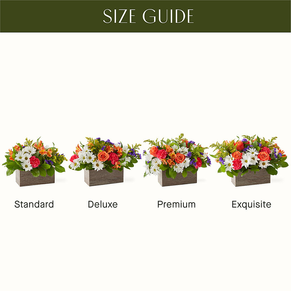 Oopsie Daisy Box Bouquet –  Schnucks Florist And Gifts #162, Olivette MO