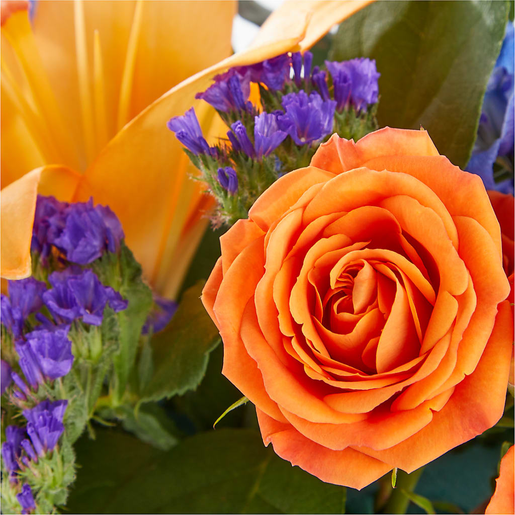 Radiant Citrus Box Bouquet –  Schnucks Florist And Gifts #162, Olivette MO