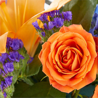 Radiant Citrus Box Bouquet –  Schnucks Florist And Gifts #162, Olivette MO