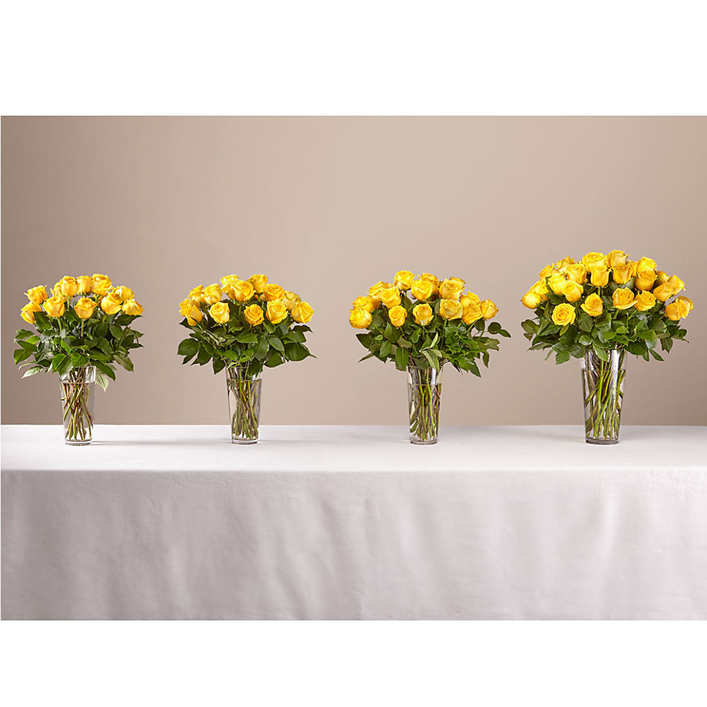 Long Stem Yellow Rose Bouquet –  Schnucks Florist And Gifts #162, Olivette MO