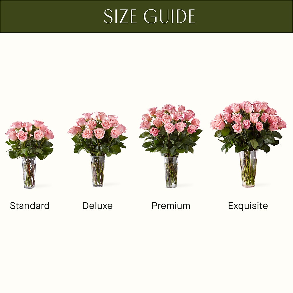 Long Stem Pink Rose Bouquet –  Schnucks Florist And Gifts #162, Olivette MO