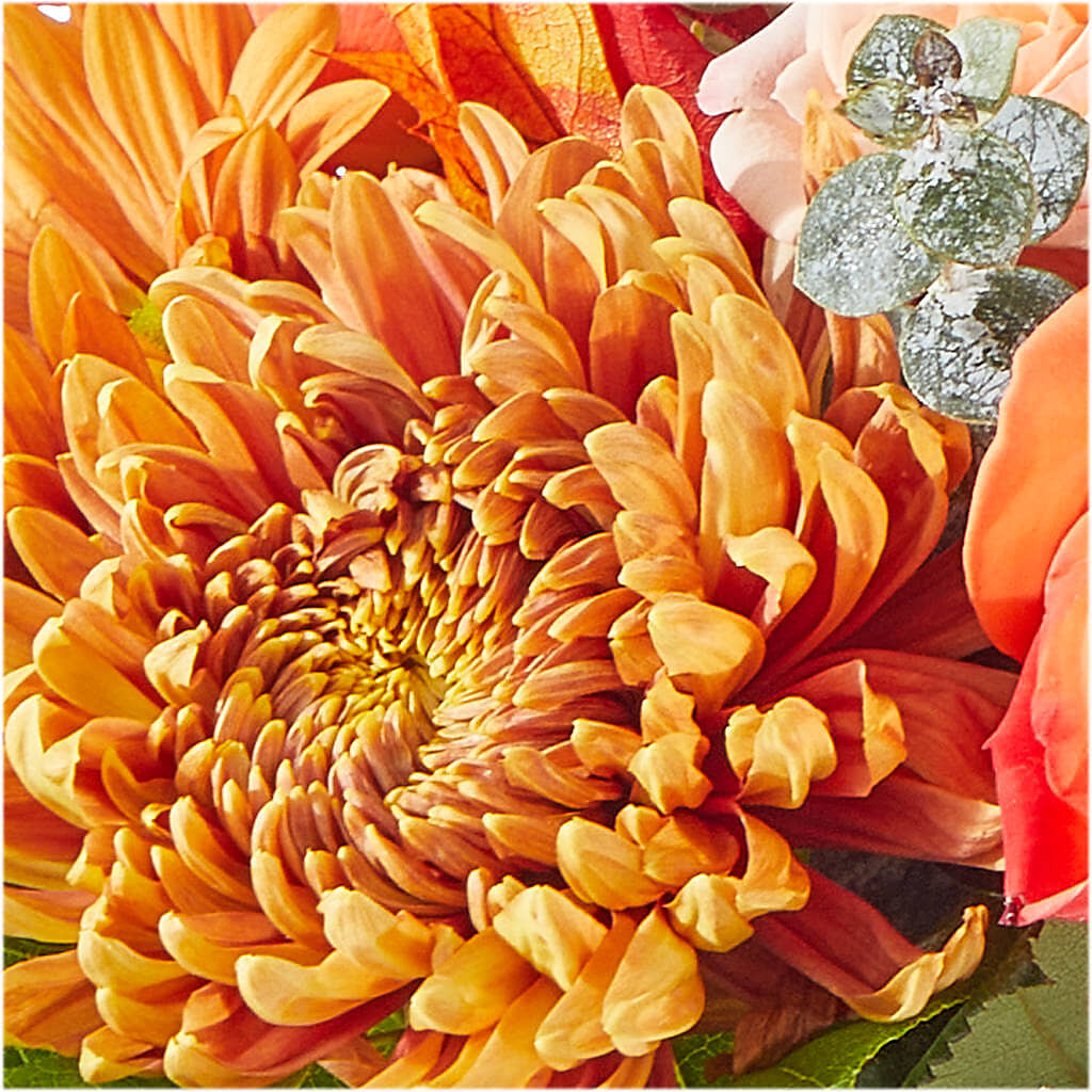 Scenic Route Bouquet –  Schnucks Florist And Gifts #162, Olivette MO