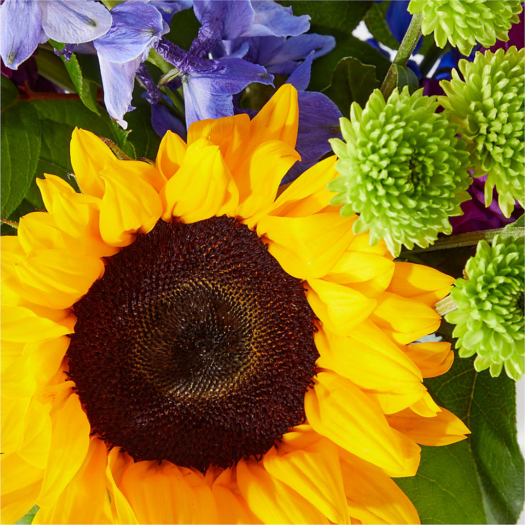 Catching Rays Bouquet –  Schnucks Florist And Gifts #162, Olivette MO