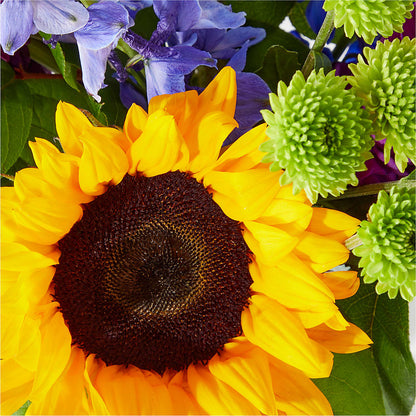 Catching Rays Bouquet –  Schnucks Florist And Gifts #162, Olivette MO