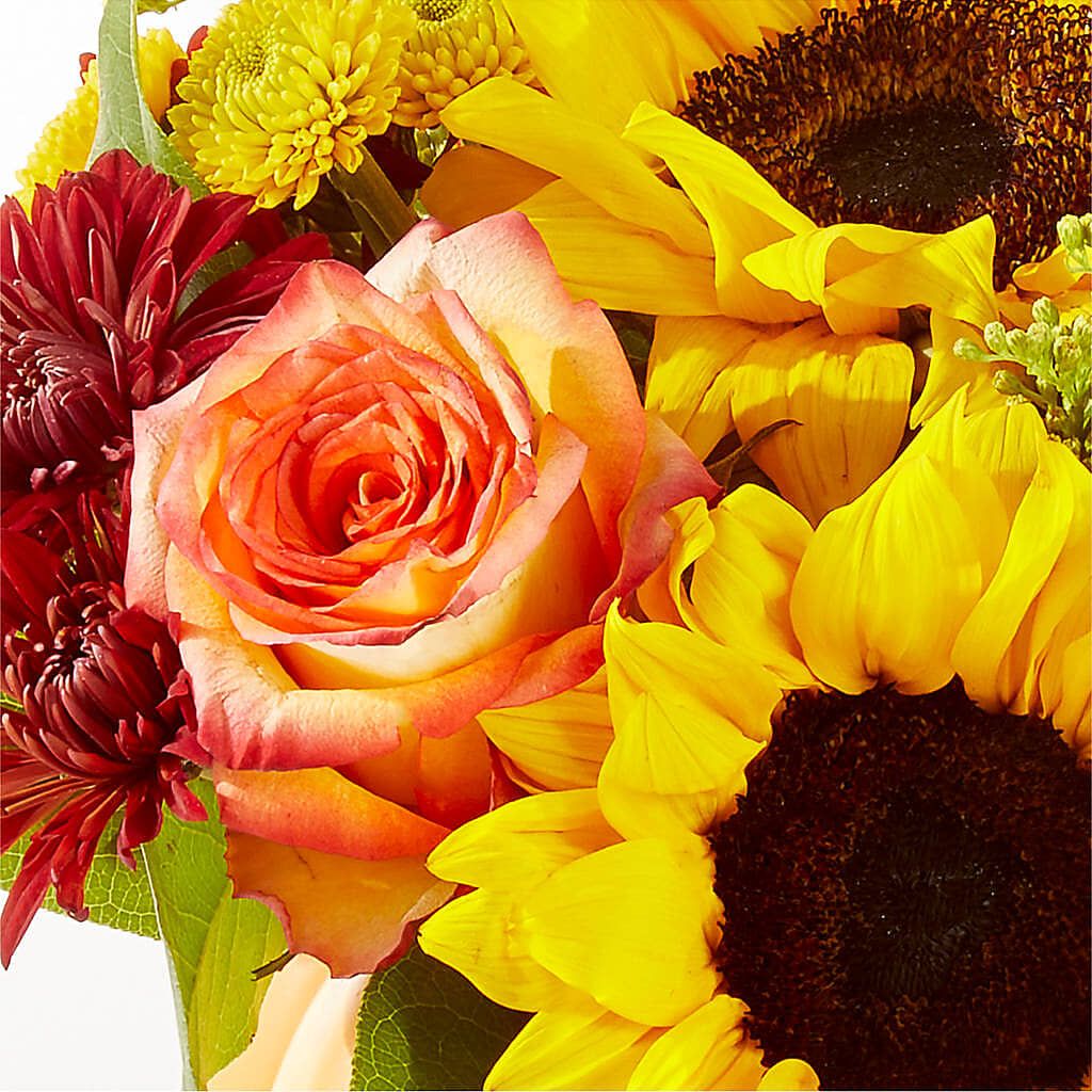 Golden Gourd Pumpkin Bouquet –  Schnucks Florist And Gifts #162, Olivette MO