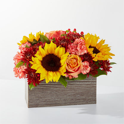 Fresh Cider Bouquet –  Schnucks Florist And Gifts #162, Olivette MO