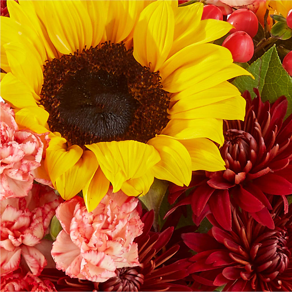 Fresh Cider Bouquet –  Schnucks Florist And Gifts #162, Olivette MO