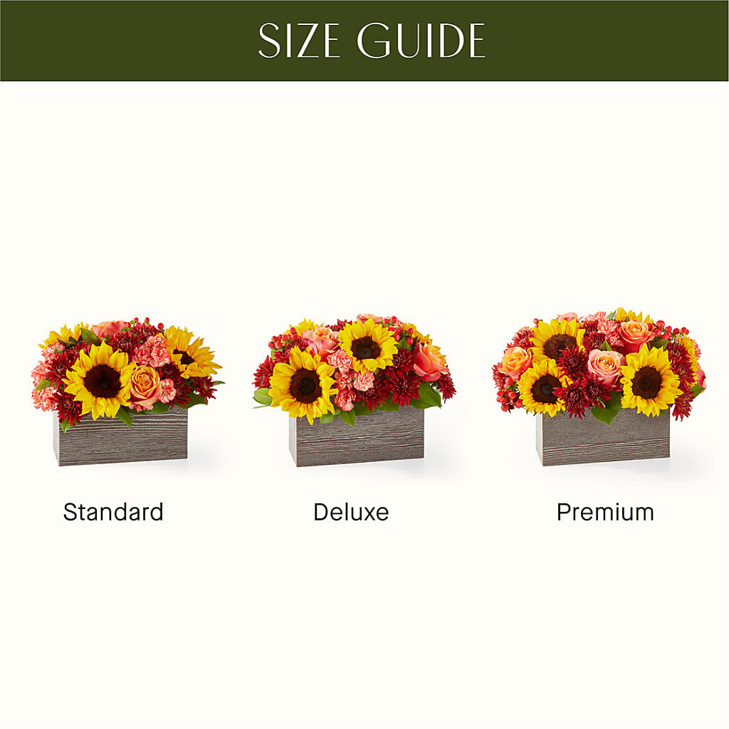 Fresh Cider Bouquet –  Schnucks Florist And Gifts #162, Olivette MO