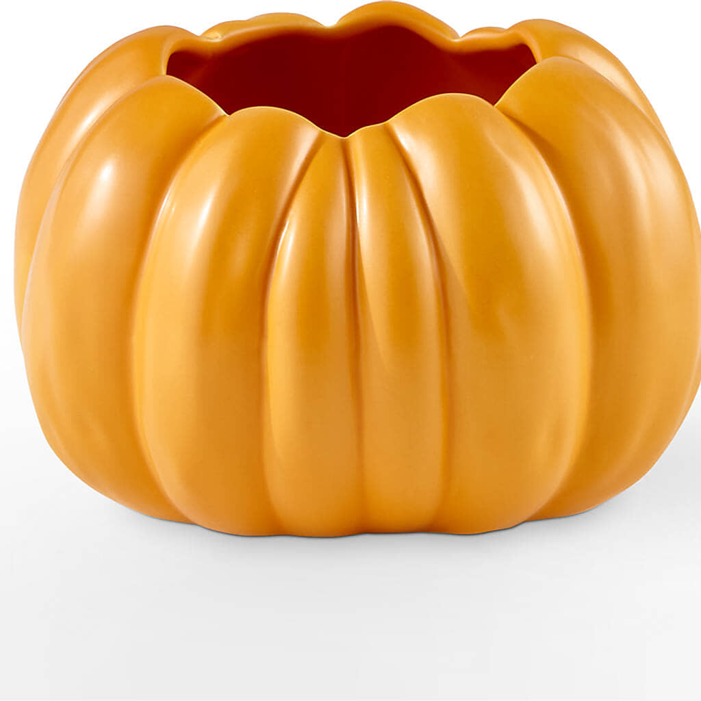 Golden Gourd Pumpkin Bouquet –  Schnucks Florist And Gifts #162, Olivette MO