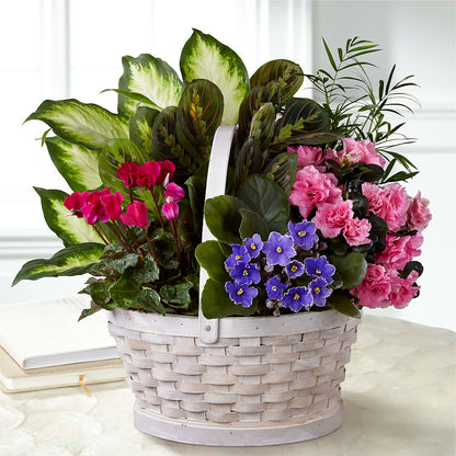 Peaceful Garden Planter –  Schnucks Florist And Gifts #162, Olivette MO