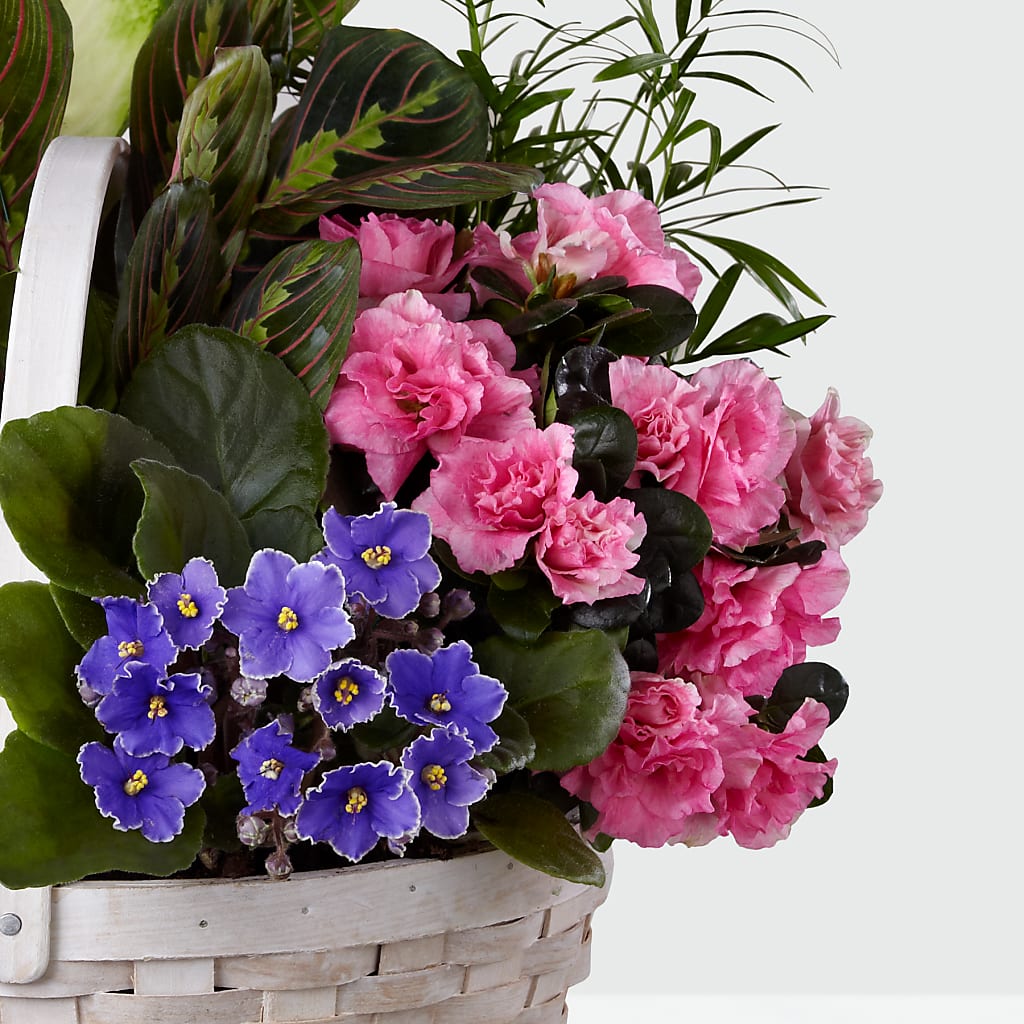 Peaceful Garden Planter –  Schnucks Florist And Gifts #162, Olivette MO