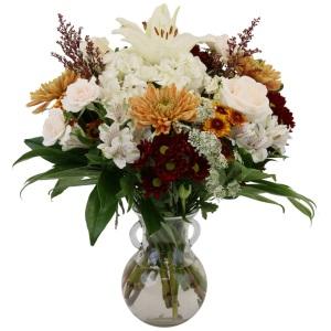 Cappuccino –  Schnucks Florist And Gifts #162, Olivette MO