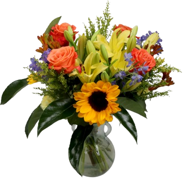 Petal Pop –  Schnucks Florist And Gifts #162, Olivette MO