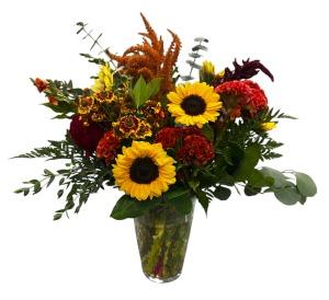 Autumn Sunset –  Schnucks Florist And Gifts #162, Olivette MO