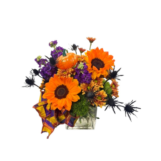 Pumpkin Potion –  Schnucks Florist And Gifts #162, Olivette MO