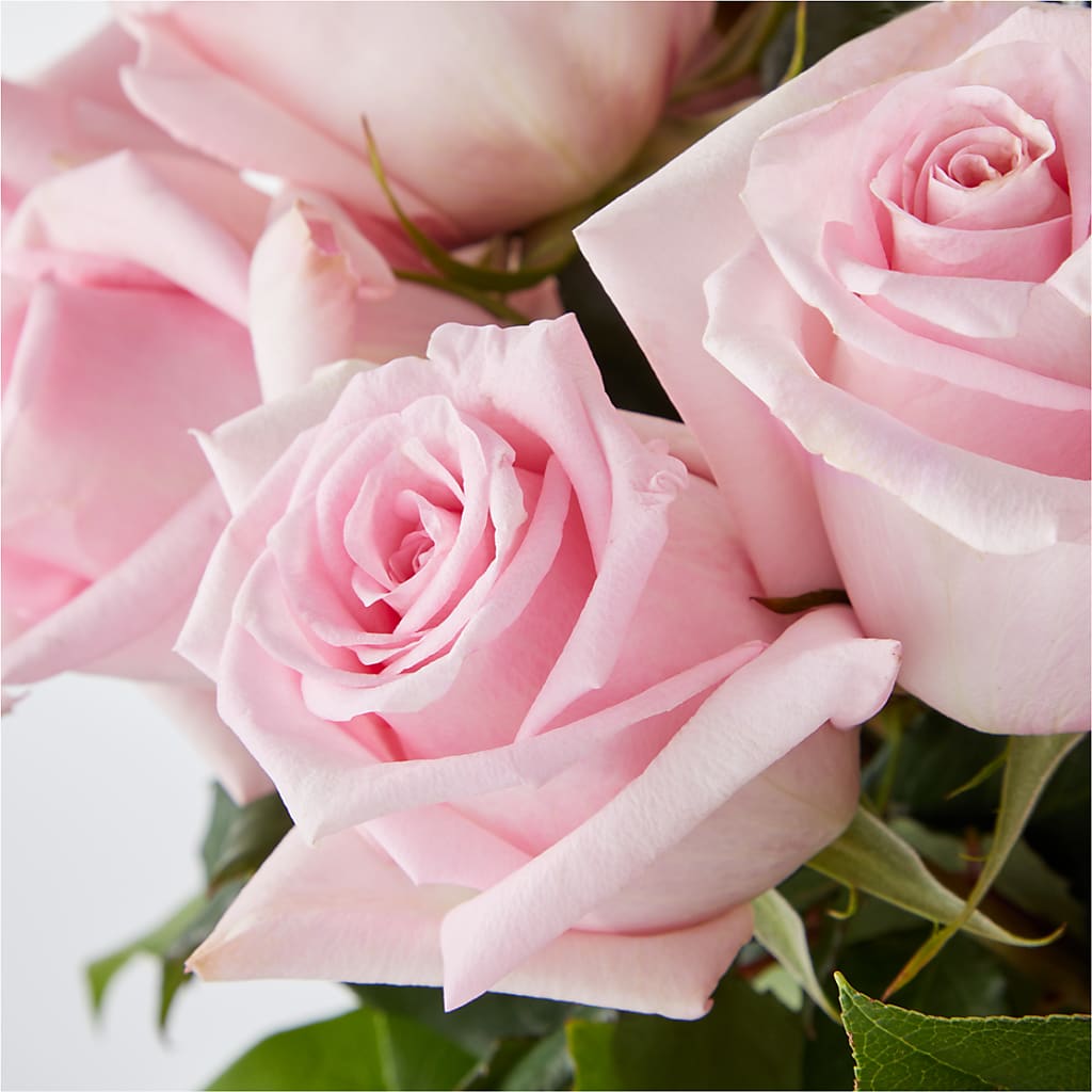 Picture Perfect Pink Rose Bouquet –  Schnucks Florist And Gifts #162, Olivette MO