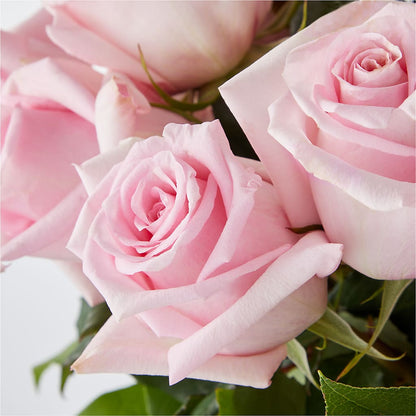 Picture Perfect Pink Rose Bouquet –  Schnucks Florist And Gifts #162, Olivette MO
